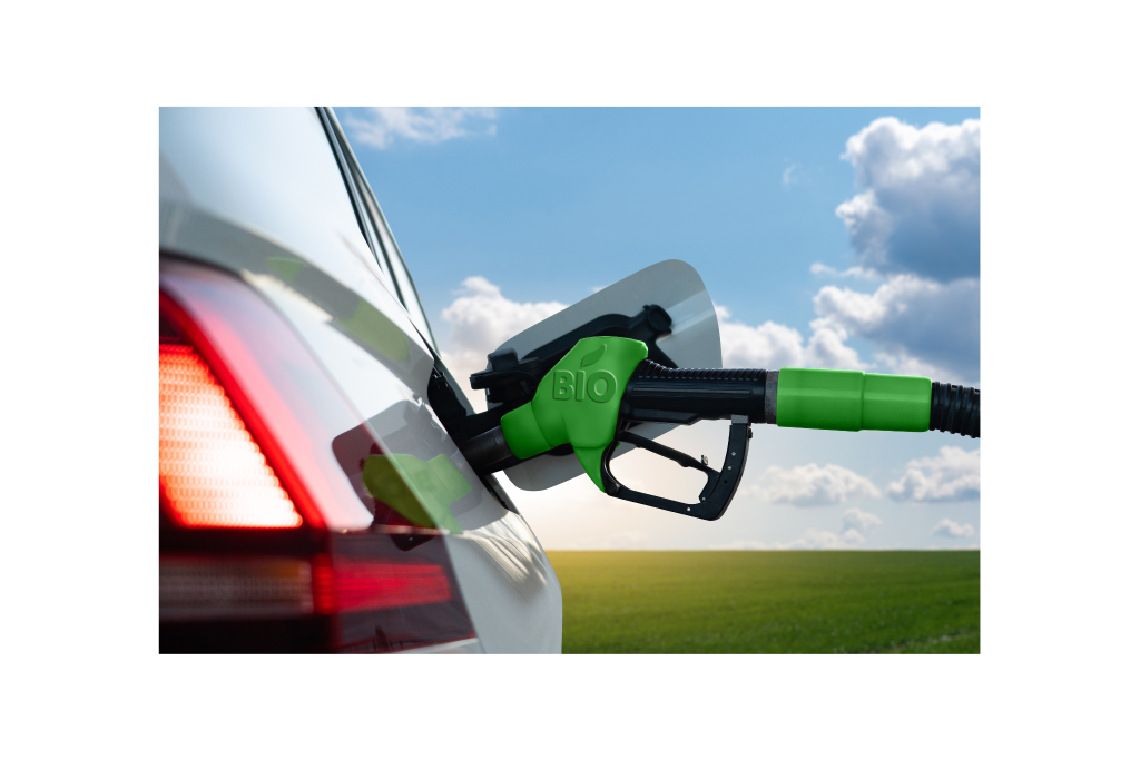 Why Some Owners Hate Ethanol Fuel Image 7 1024x683